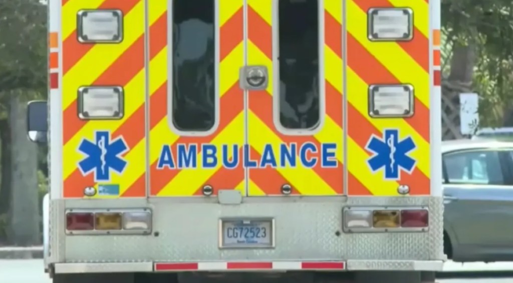 South Carolina alligator kills elderly woman walking her dog:&nbsp;police