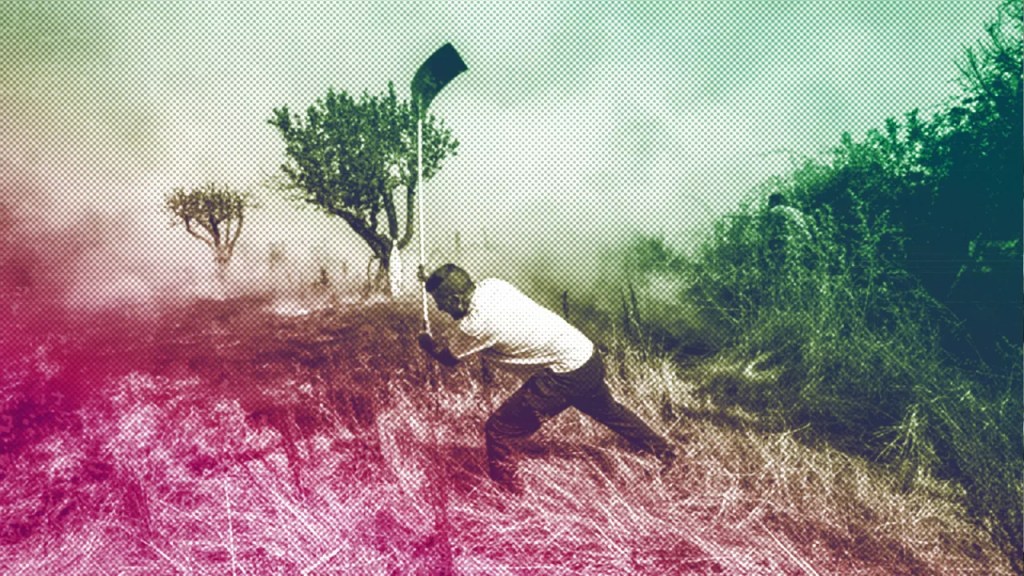 ‘The world is on fire’ is a terrible environmental&nbsp;message