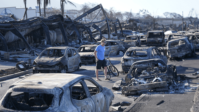 Democrats’ climate change blame game for Hawaii fire confronted by reality after Maui identifies&nbsp;cause