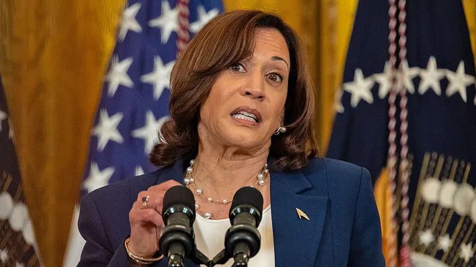 Kamala Harris slip-up reveals how Bidenomics hurting American&nbsp;families