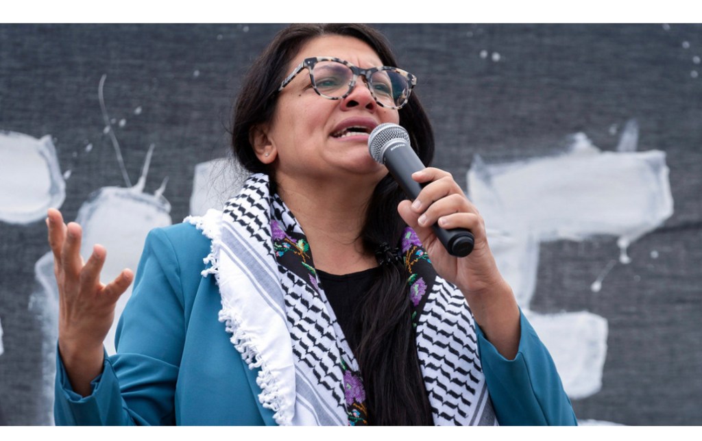 House passes Rashida Tlaib&nbsp;censure