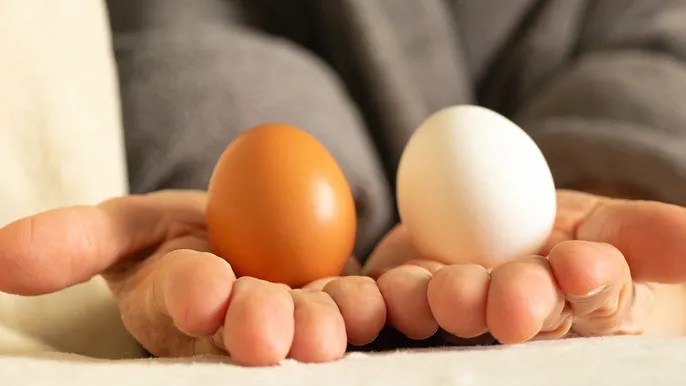 Get cracking: These are the best eggs for your health, according to&nbsp;nutritionists