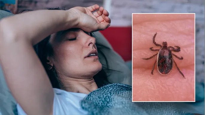 Deadly Rocky Mountain spotted fever outbreak in California likely came from Mexico, CDC&nbsp;says