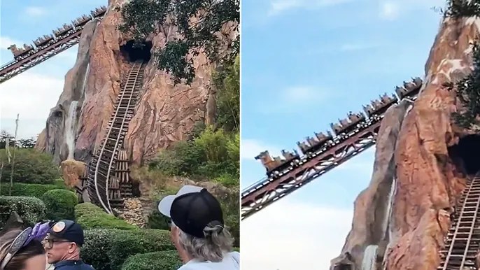 Disney World guests stuck on steep incline aboard Expedition Everest coaster for 30 minutes:&nbsp;report