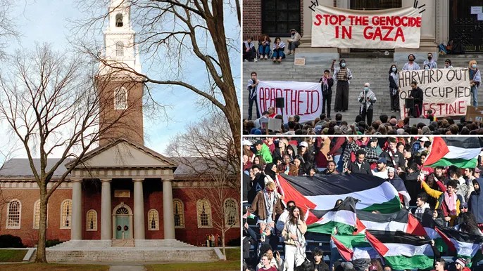 College admissions consultant in ‘complete shock’ as multiple students reject Harvard early acceptance&nbsp;offers