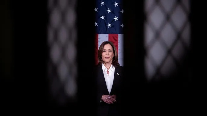 Vice President Harris should ‘step aside’ for good of the country, Washington Post columnist&nbsp;says