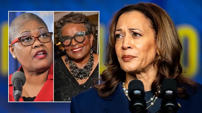 ‘F— the White women’: Black activists tied to VP Harris could derail Dem ‘unity’ message with past&nbsp;rhetoric