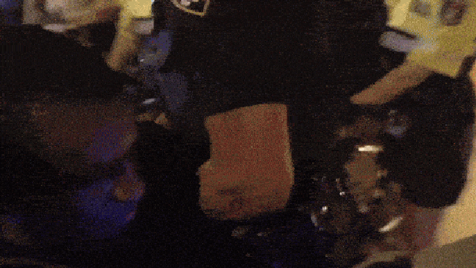 Pro-Palestine protesters clash with law enforcement, unleash smoke bombs following Harris&nbsp;rally