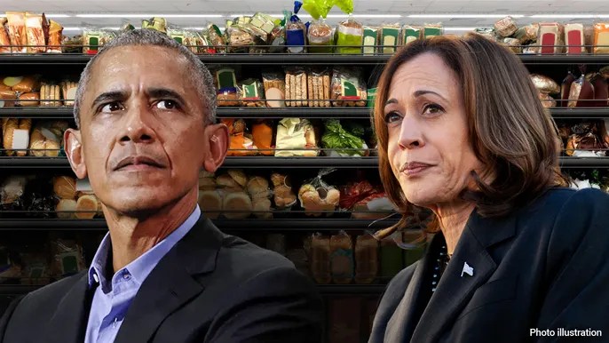 Obama economist trashes Kamala Harris’ price control plan: ‘This is not sensible&nbsp;policy’