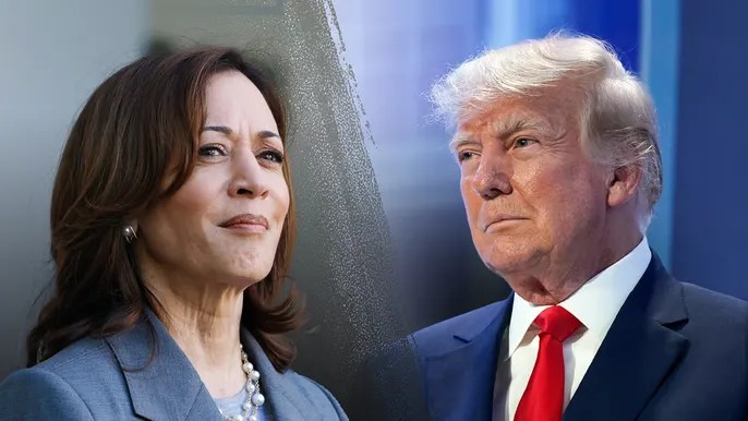 Three Harris DNC attack lines against Trump that were inaccurate or&nbsp;false