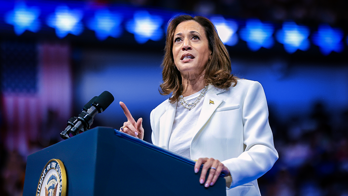 Harris lacked confidence, presidential demeanor in first TV interview: body language&nbsp;expert