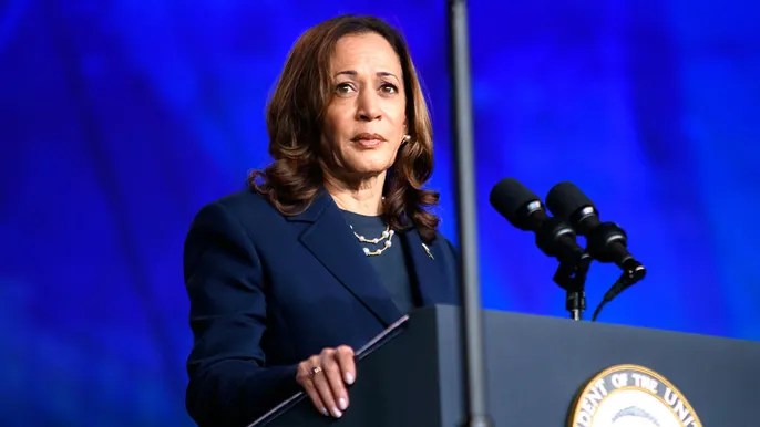 Tom Cotton turns tables on CNN’s Dana Bash on guns, brings up Harris’ past remarks on school&nbsp;shootings