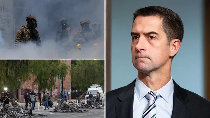 Tom Cotton pushes new crackdown on pro-immigration rioters in Los Angeles, citing ICE&nbsp;assaults