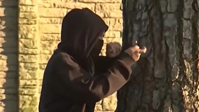 Illegal alien charged with attempted murder for throwing Molotov cocktail at officers in LA riots:&nbsp;DHS