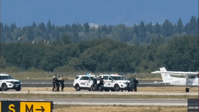 Pilot with ‘ideological motive’ steals small aircraft and disrupts major international airport&nbsp;operations