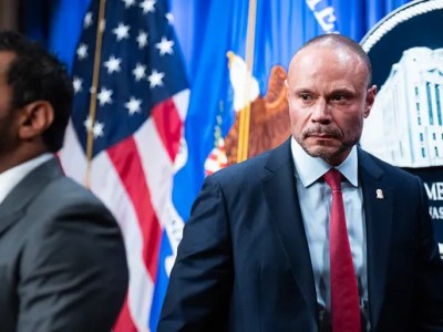 Dan Bongino to resign from FBI deputy director role in&nbsp;January