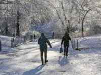Over 1,300 US flights canceled amid holiday winter&nbsp;storms