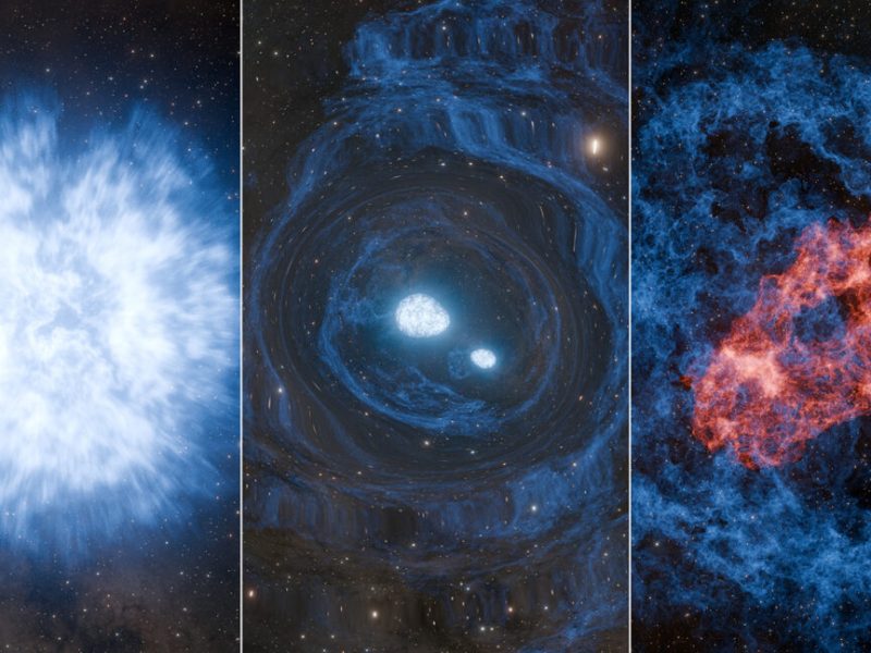 Research roundup: 7 cool science stories we almost&nbsp;missed