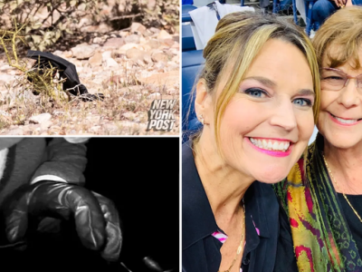 Nancy Guthrie disappearance: Savannah Guthrie says ‘we still believe’ as FBI investigates&nbsp;DNA